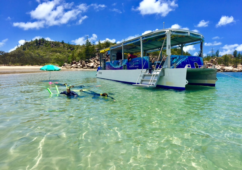 Snorkelling in Florence Bay with Aquascene Magnetic Island on their Discovery Tour